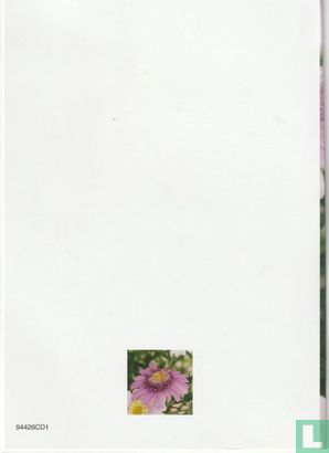 Paardebloemen - Image 2