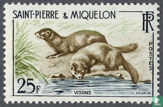 Vison
