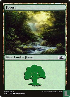 Forest - Image 1