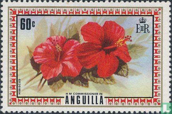 Hibiscus