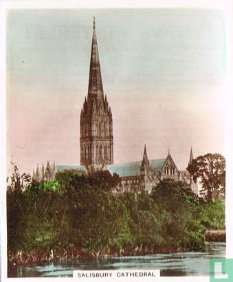 Salisbury Cathedral - Image 1