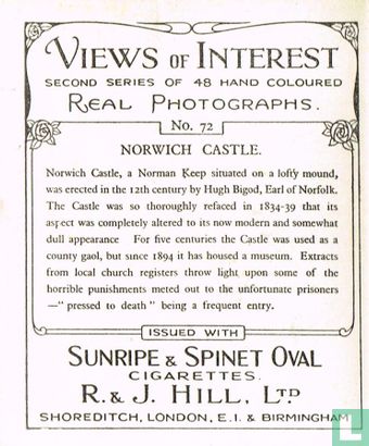 Norwich Castle - Afbeelding 2