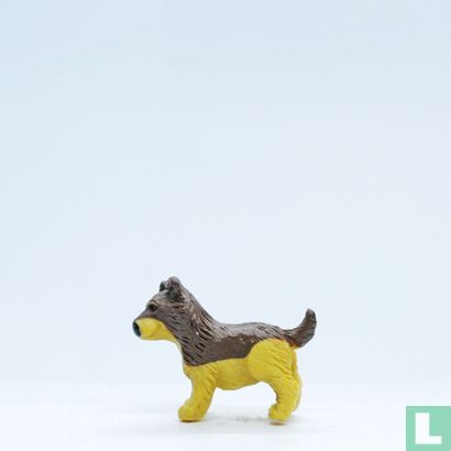 Welpe (Collie) - Bild 4