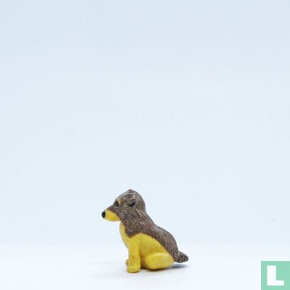 Chiot (Collie) - Image 4