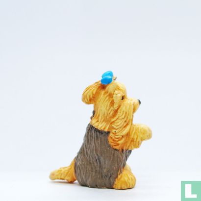 Cindy (Yorkshire Terrier) - Image 3