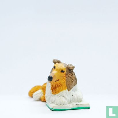 Claudia (Rough Collie) - Image 1