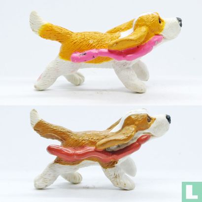 Max (basset hound) - Image 5