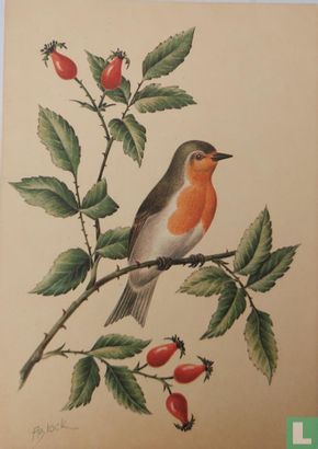 Roodborst: Erithacus rubecula - Image 1