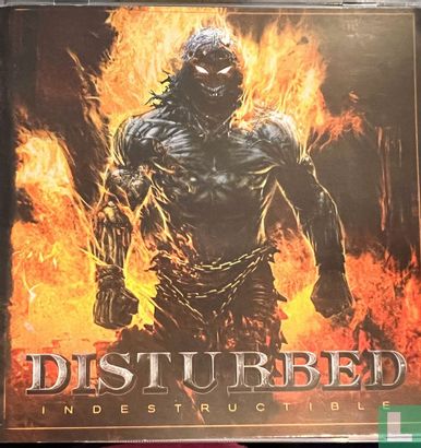 Indestructible - Image 1
