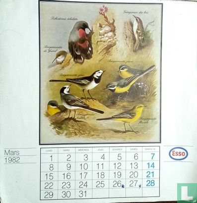 Esso 1982 - Bild 2