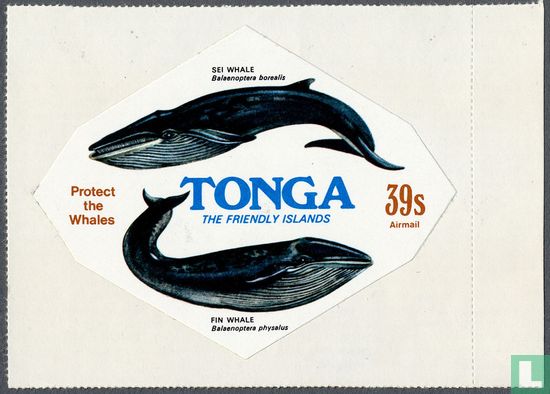 Conservation : les baleines