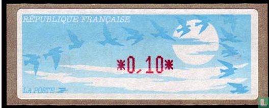 Migration des oiseaux