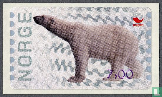 Icebear - Image 2