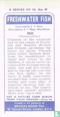 Bass - Image 2
