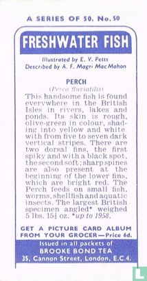 Perch - Afbeelding 2