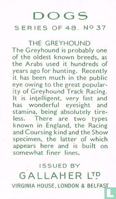 The Greyhound - Bild 2