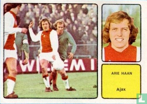Arie Haan