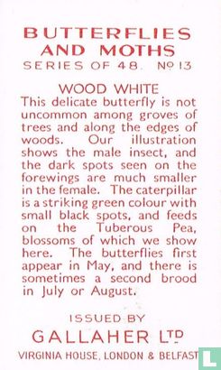 Wood White - Bild 2
