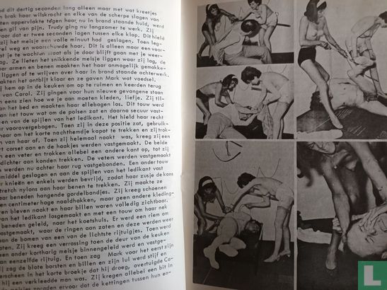 Zweep 12 - Image 4