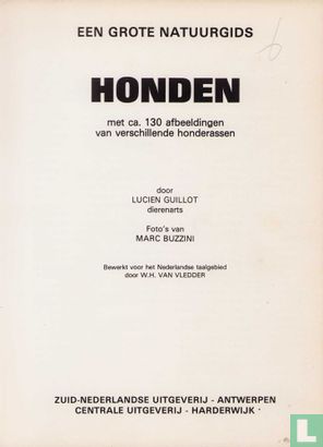 Honden - Image 4