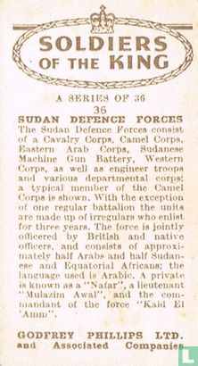 Sudan Defence Forces - Image 2