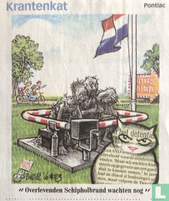 Krantenkat