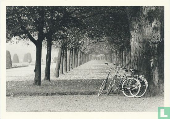 Untitled (EB 29) - Image 1