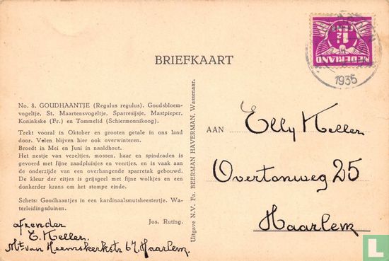 08 GOUDHAANTJE (Regulus regulus) - Image 2