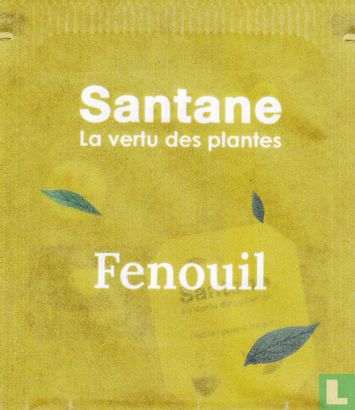 Fenouil - Image 1
