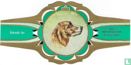 Ierse Setter - Image 1