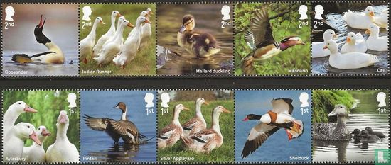 Canards