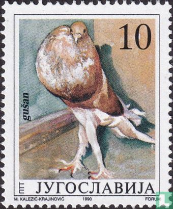 Pigeons