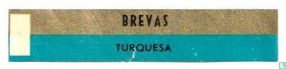 Brevas Turquesa - Afbeelding 1