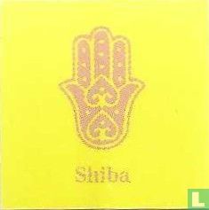 Shiba - Image 3