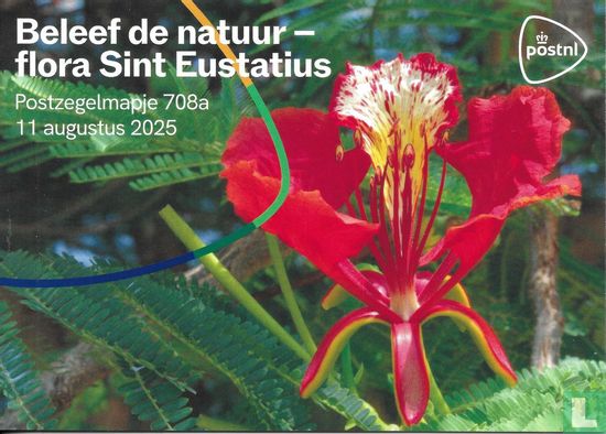 Flora Sint Eustatius - Bild 1