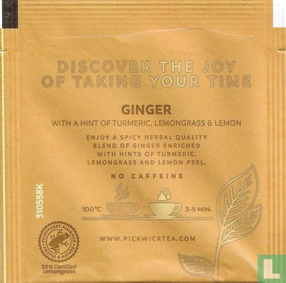 Ginger - Image 2