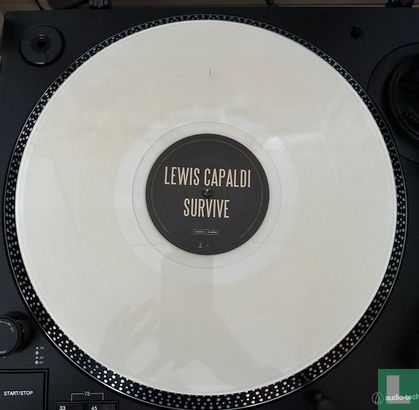 Survive - Image 3