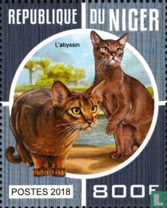 The cats