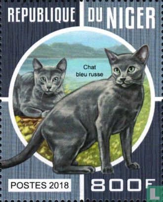 The cats