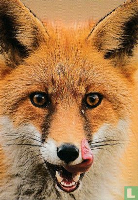 natural sciences - Wild? Sauvage? - Image 1