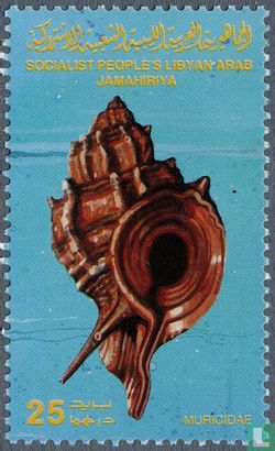 Mollusc shell