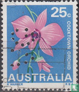 Bloemen - Image 1
