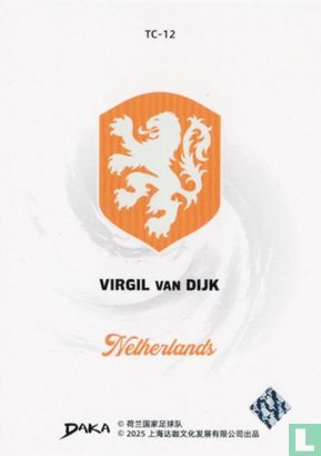 Virgil van Dijk - Image 2