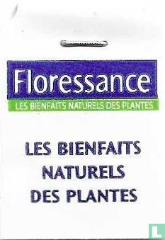 Excès D'Eau Draineur - Bild 3