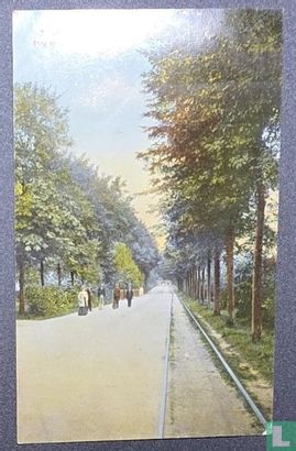 Berg en Dalsche weg