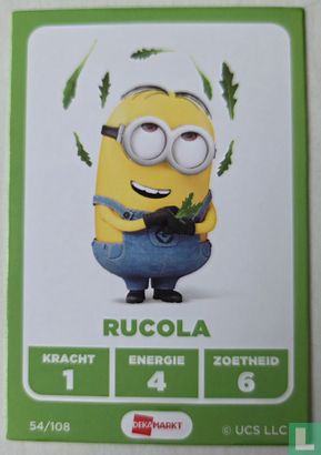 Rucola - Bild 1