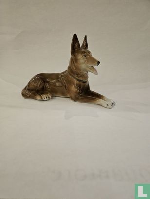 Hond - Afbeelding 1