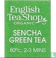14 Sencha Green Tea - Image 3