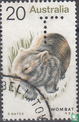 Vombatus ursinus - Image 1