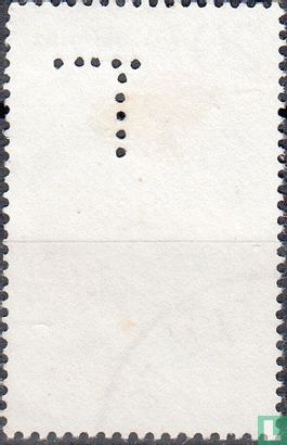 Vombatus ursinus - Image 2